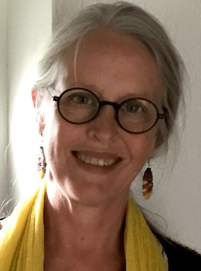 laptop-2810997_1920 Elin Noble