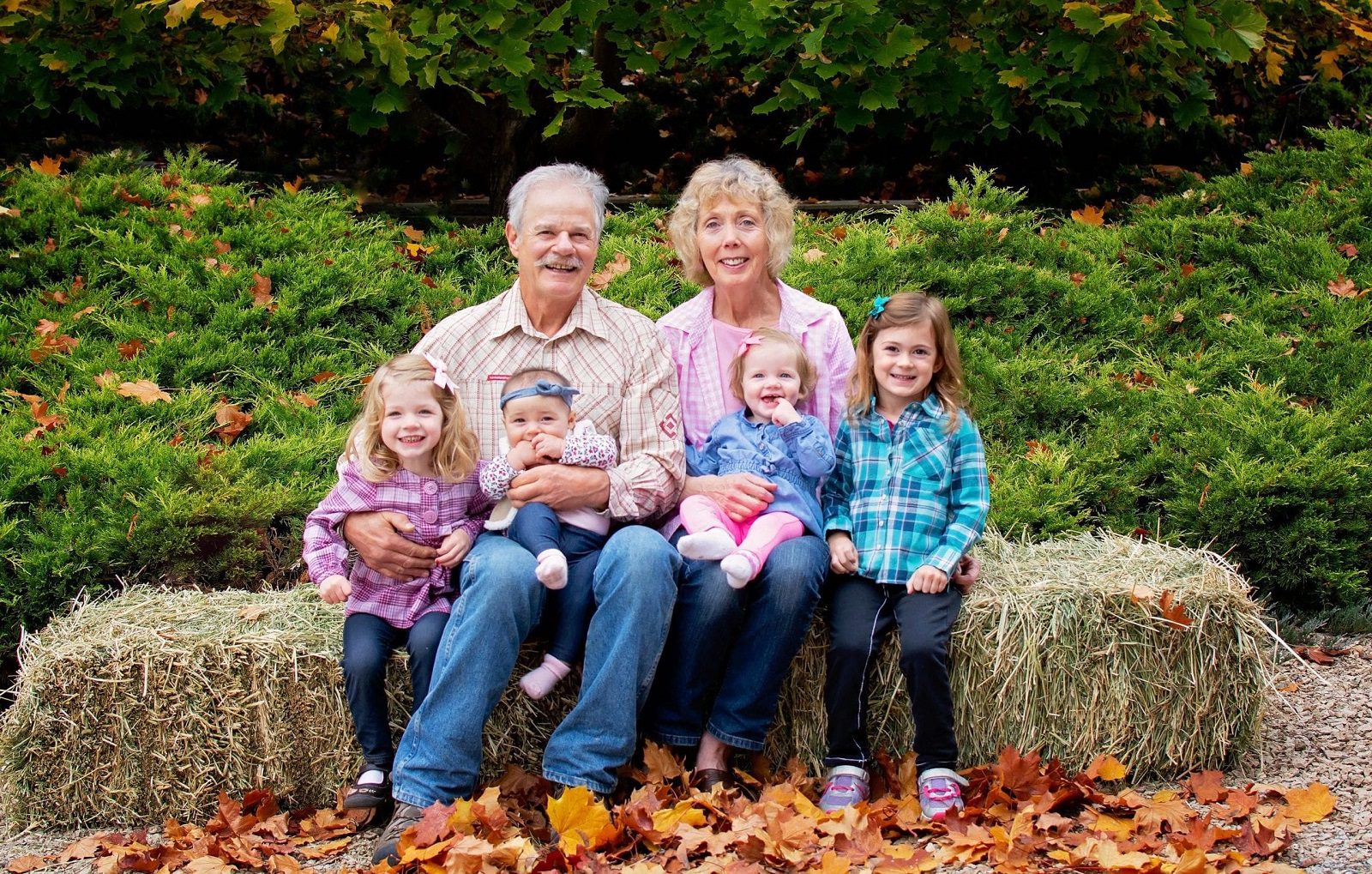 laptop-2810997_1920 Glenda Corbett