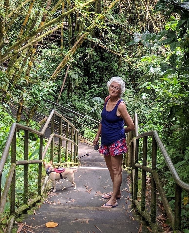 laptop-2810997_1920 Sue Cross