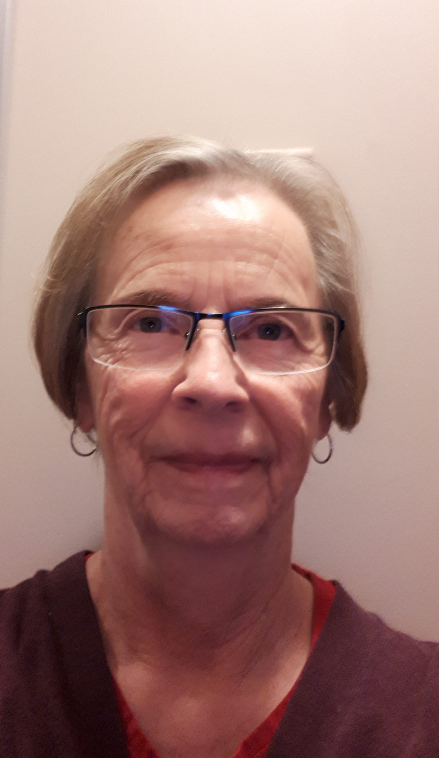 laptop-2810997_1920 Carolyn Quick